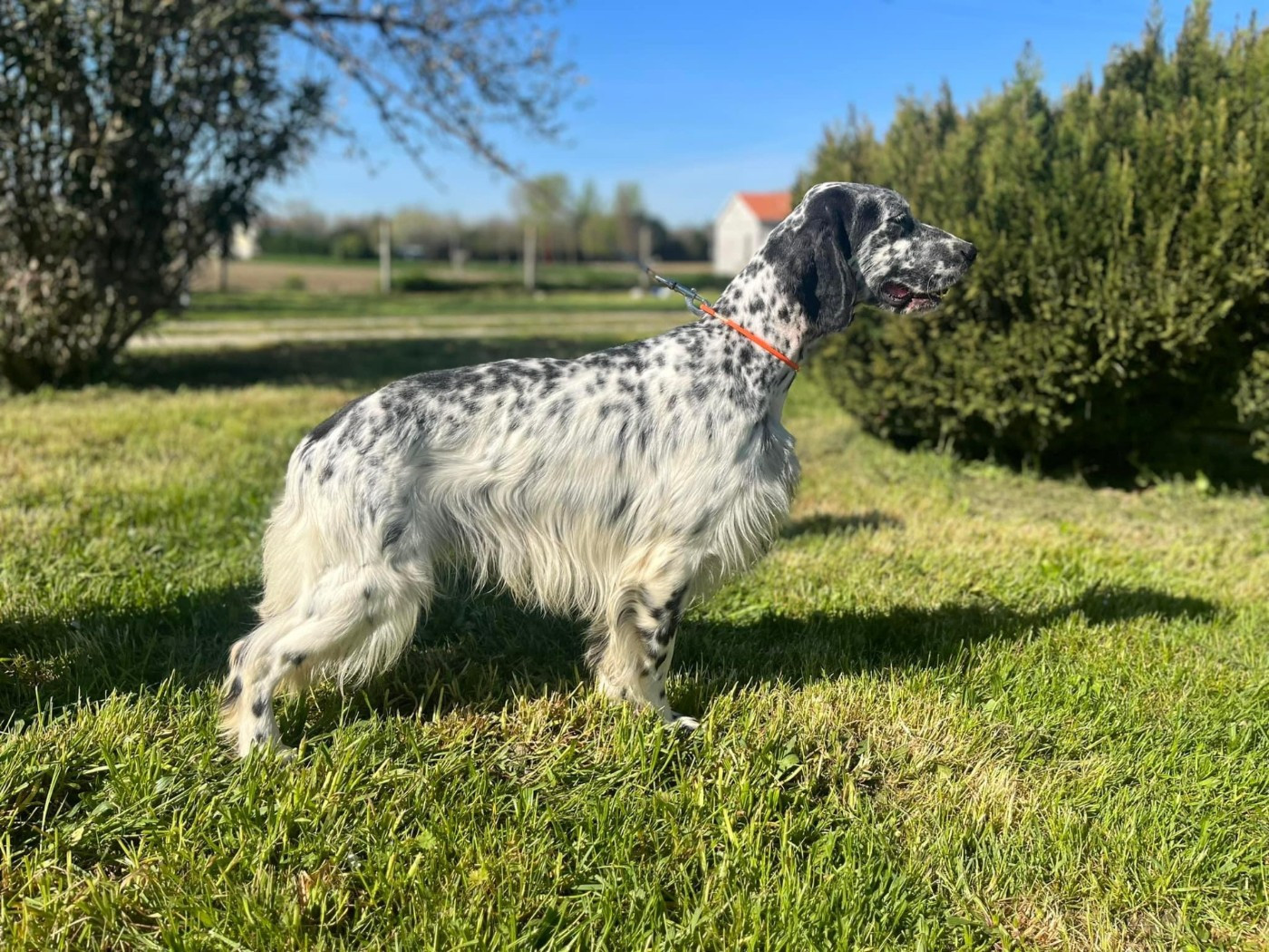 Titre Initial Sarentis sem